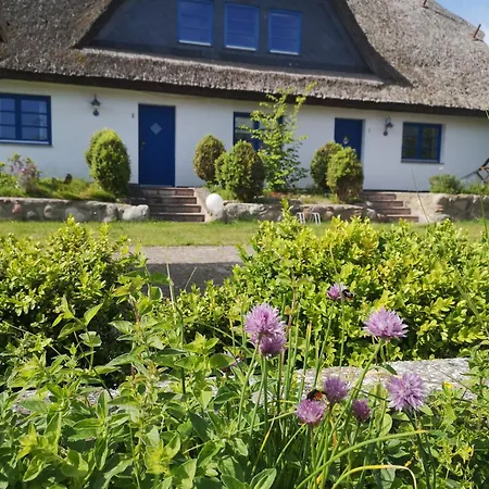 Am Jagdschloss Whg 6 *